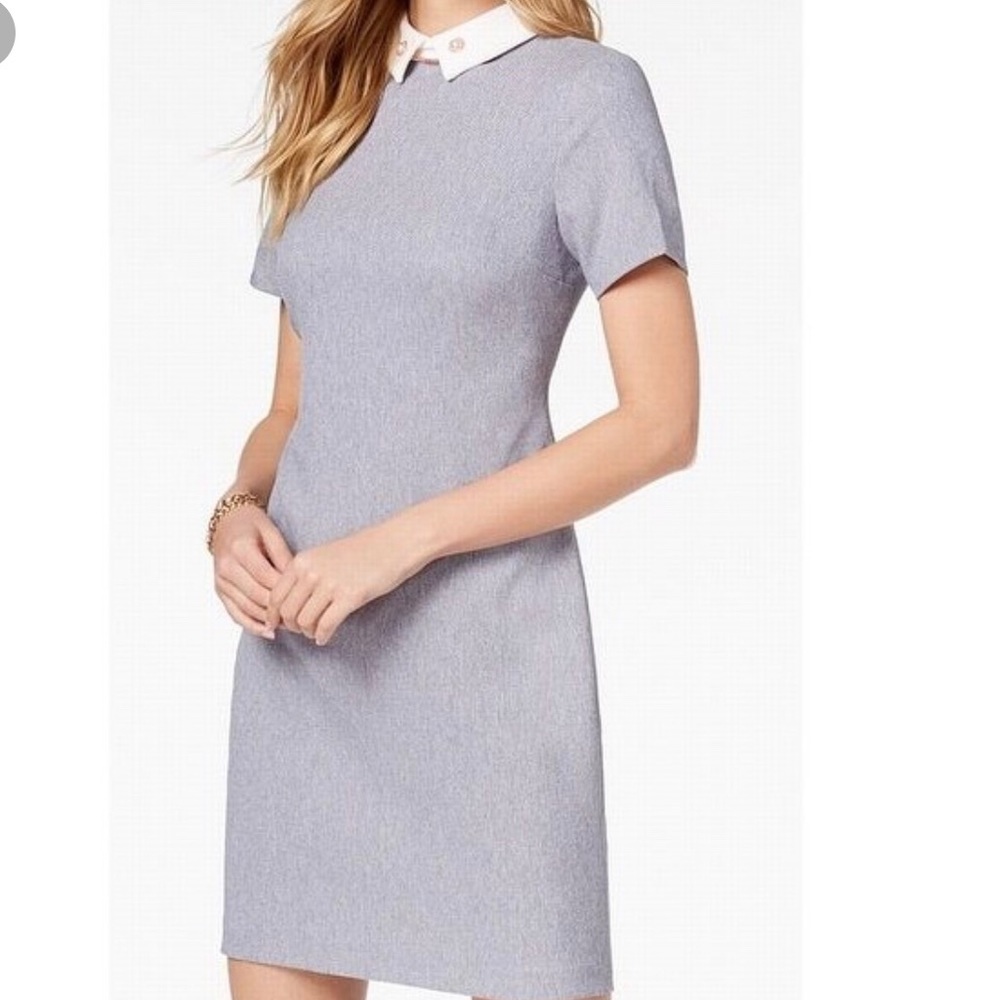 Collar Knit Shift Dress